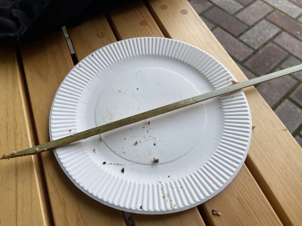 子持ち鮎を完食