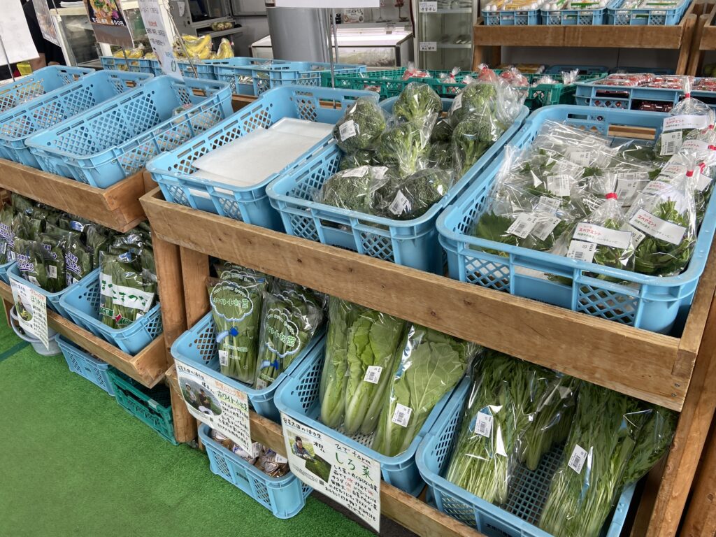 道の駅 来夢とごうち